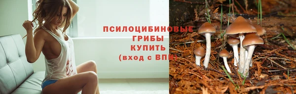 ALPHA PVP Алексеевка