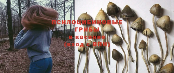 ALPHA PVP Алексеевка