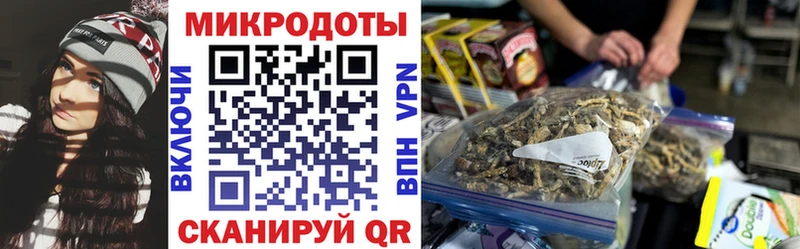 Галлюциногенные грибы Psilocybine cubensis  Нерчинск 